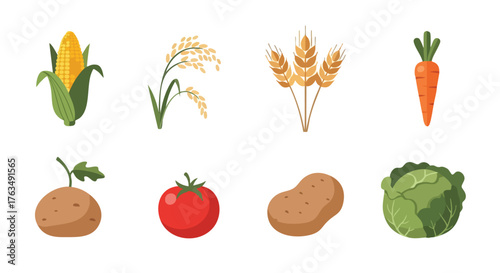 Flat Vector Illustration of Vegetables and Crops with Corn, Rice, Wheat, Carrot, Tomato, Potato, and Cabbage for Organic Farming Concept