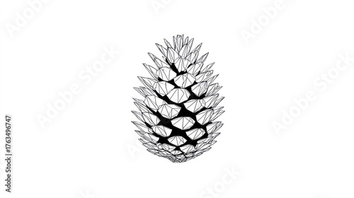 Pine cone wireframe design