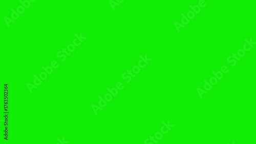 Follow Animation on Green Screen | Social Media Button | Chroma Key Video