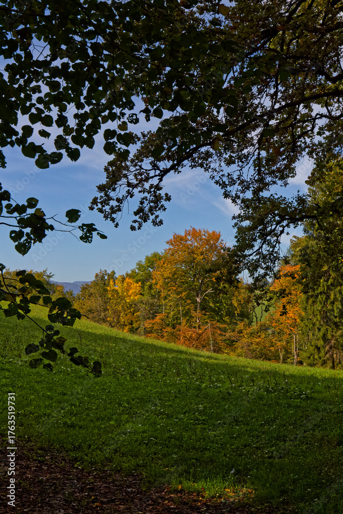 Naklejka premium Automne en Savoie