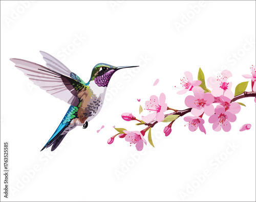  Vibrant hummingbird hovering near a blooming twig of pink colored flowers