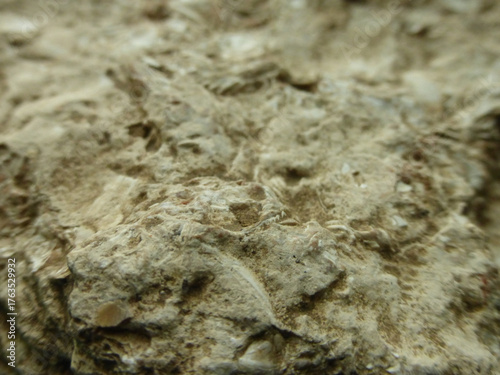 Close-up Texture of Limestone Rock Surface