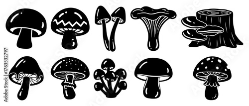 Mushroom Icon Set Edible and Wild Fungi Collection Forest Food Illustration Vector