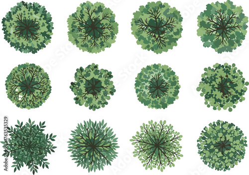 Top view tree canopies, aerial foliage illustration, landscape architecture design, ecological