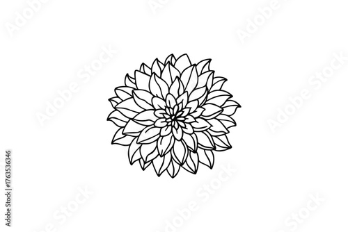 Detailed black and white floral drawing of a dahlia bloom