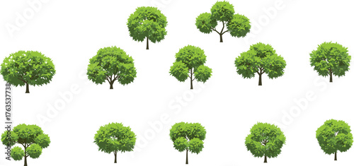 Collection of twelve green trees illustration, diverse foliage density, natural landscape design elements, eco-friendly botanical artwork, educational environmental resource graphics