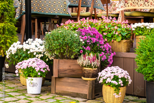 Many beautiful different colorful flowers plants in various pots against tables in cafe interior entrance. decoration gardening landscaping design concept