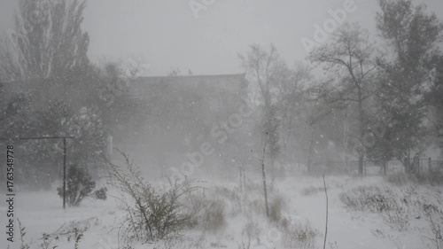 A winter landscape during a severe snowstorm. Gusts of wind lift the snow, creating a thick white blanket. A thick layer of snow lies on the ground. Cold, the elements, and the blizzard.