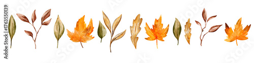 Bright autumn leaves clipart collection with golden, orange, and yellow foliage, isolated for templates, artwork, and nostalgic seasonal designs.