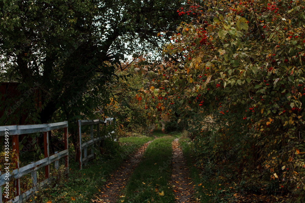 Naklejka premium Autumn landscape, gloomy street, green and yellow