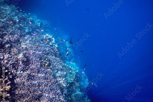 underwater world map