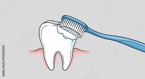 Illustration of molar tooth with blue toothbrush brushing teeth, white foam. Proper daily dental care involves brushing teeth, removing plaque, ensuring gum health.