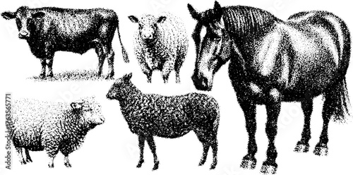Vintage animal engraving set featuring a cow, horse, and sheep. Detailed black outline vector illustration with a classic hand-drawn style.