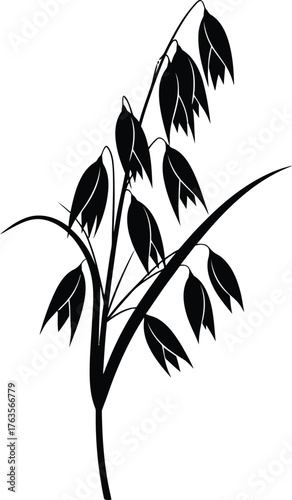 Black silhouette vector of an oat cereal grain plant stalk with drooping panicles Minimalist farm harvest nature icon design