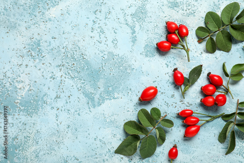 Fresh rose hip berries and leaves on blue background