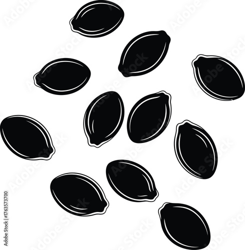 Scattered Pumpkin Seeds Monochrome Vector Illustration Black Silhouette Graphic Element