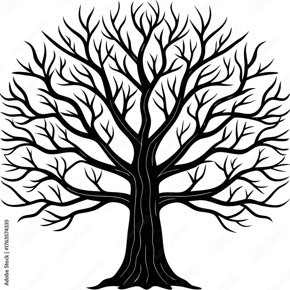 Obraz premium tree with leaves