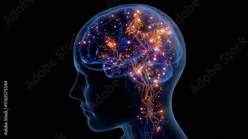 Prefrontal Cortex Brain Activation Neuroscience Silhouette Illustration of Cognitive Function