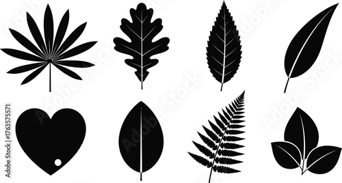 Black and white leaf vector set botanical plant illustration