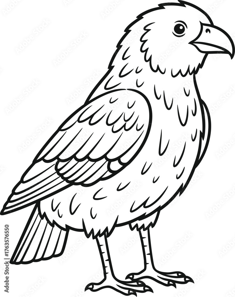 Fototapeta premium Simple standing raven or crow bird outline drawing vector illustration for coloring book page