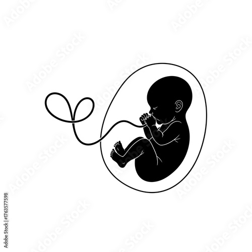 Fetus in Womb Vector Illustration – Minimal Black Silhouette of Unborn Baby with Umbilical Cord in Side Profile

