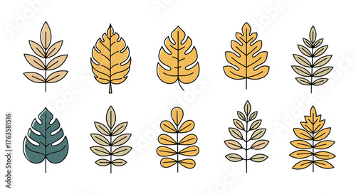 Collection of Autumn Leaves in Various Shapes and Colors.