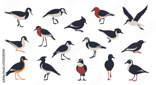 Collection of diverse wading birds in various poses and species.
