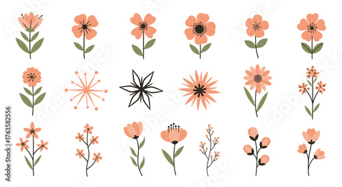 Collection of various floral illustrations in different styles and designs.