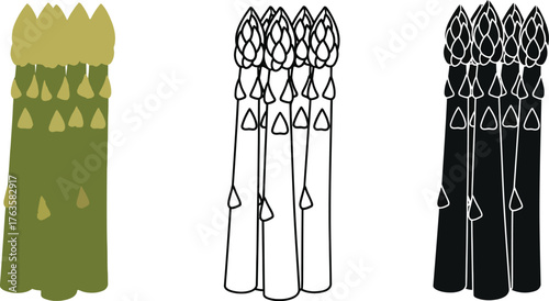 Asparagus vegetable illustration vector healthy food design
