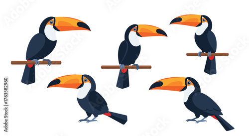 Several toucans perched on branches showcasing their vibrant plumage and large beaks.