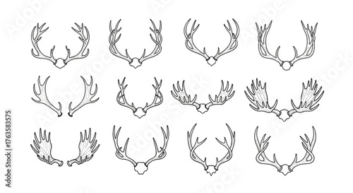 Collection of Hand-Drawn Deer Antlers in Various Shapes and Sizes.