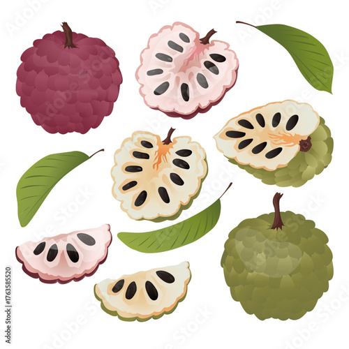 Set cherimoya (Custard Apple) fruit with leaves.