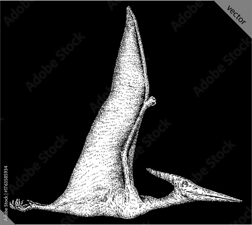 Vintage engraving isolated pterosaur set illustration pterodactylus ink sketch. Flying dinosaur background silhouette Jurassic art. Black and white hand drawn vector image