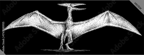 Vintage engraving isolated pterosaur set illustration pterodactylus ink sketch. Flying dinosaur background silhouette Jurassic art. Black and white hand drawn vector image