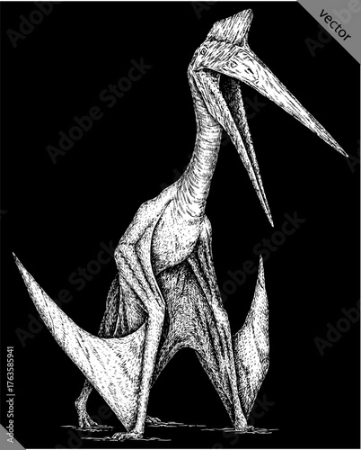 Vintage engraving isolated pterosaur set illustration pterodactylus ink sketch. Flying dinosaur background silhouette Jurassic art. Black and white hand drawn vector image