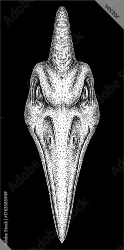 Vintage engraving isolated pterosaur set illustration pterodactylus ink sketch. Flying dinosaur background silhouette Jurassic art. Black and white hand drawn vector image