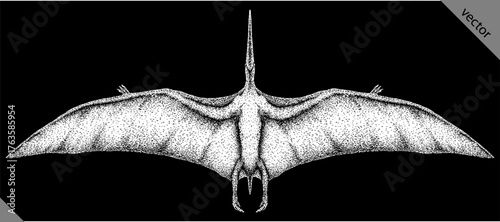 Vintage engraving isolated pterosaur set illustration pterodactylus ink sketch. Flying dinosaur background silhouette Jurassic art. Black and white hand drawn vector image