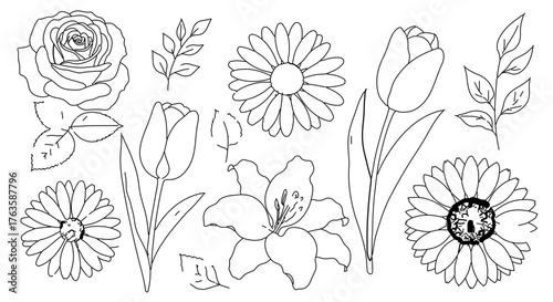 Outline drawing of various flowers including rose, daisy, tulip, and lily
