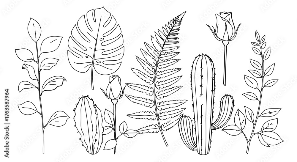 Fototapeta premium Botanical line art collection with cactus, fern, rose, monstera and leaves