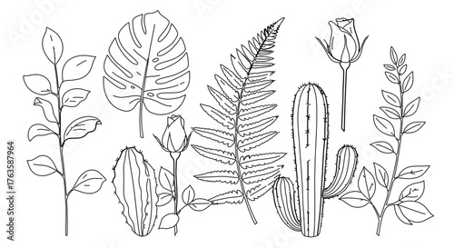 Botanical line art collection with cactus, fern, rose, monstera and leaves
