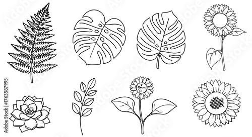 Hand drawn illustration of various plants for design element