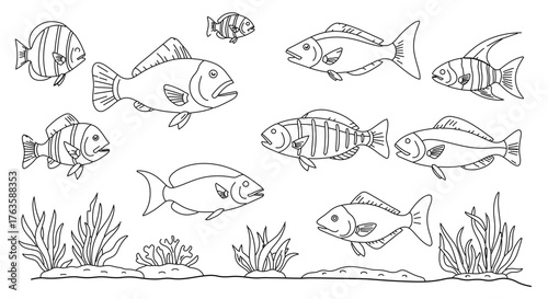 Fish collection group of different fish in the sea with seaweed and coral