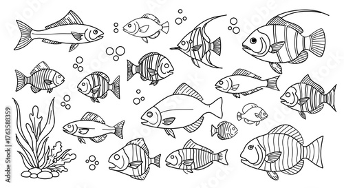 Hand drawn fish collection various types of fish in sketch style underwater world