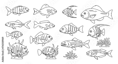 A delightful collection of various fish species, showcasing their unique shapes and sizes