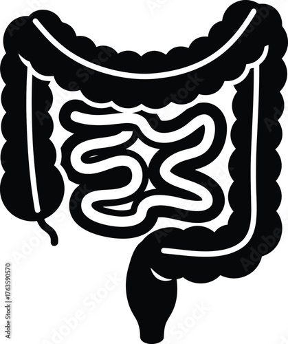 Intestines large and small gut anatomy icon solid black vector illustration for digestive system health and medical concepts