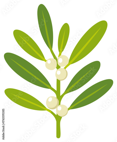 Vector illustration of a traditional Christmas mistletoe sprig with berries