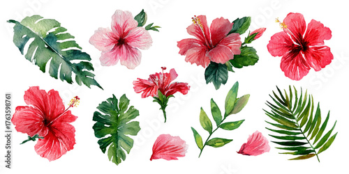 Vibrant watercolor collection of tropical hibiscus flowers and lush green palm leaves