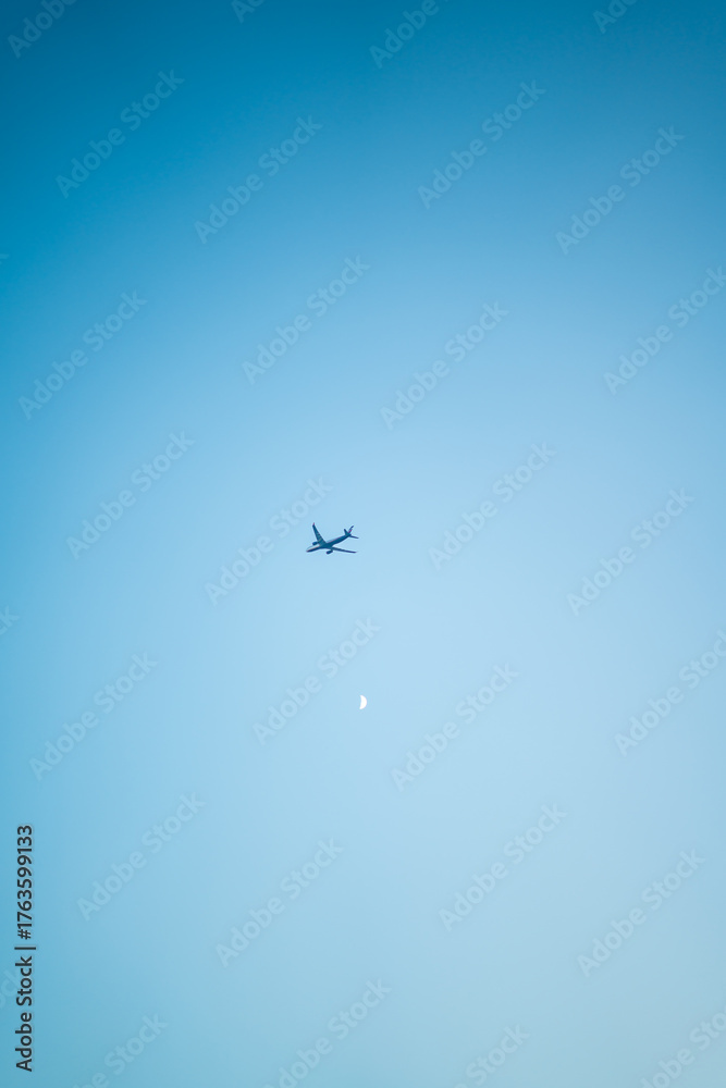 Fototapeta premium a plane flying high in the sky