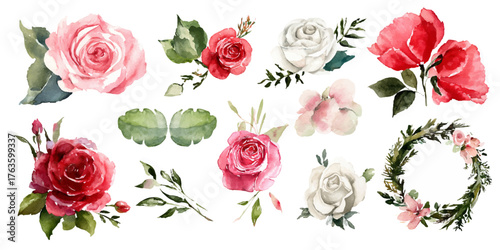 Collection of delicate watercolor roses and floral elements in various shades of pink red and white