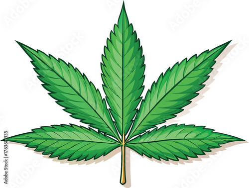 Marijuana leaf vector illustration | Cannabis plant graphic